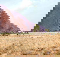 Uluru Sunrise and Guided Base Walk - Accommodation Gladstone