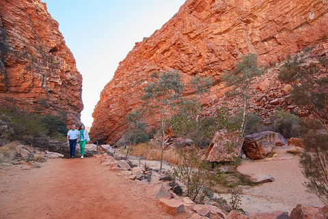 Best Of Alice Springs Full Day Tour - Accommodation Gladstone 1
