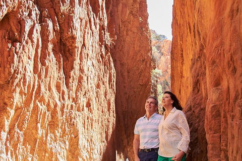 Best Of Alice Springs Full Day Tour - Accommodation Gladstone 4