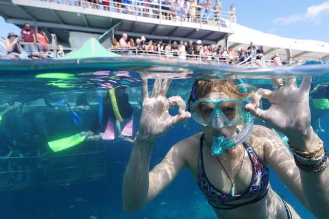 Great Barrier Reef Day Cruise From Cairns Including Snorkeling And Marine Biologist Presentation - Accommodation Gladstone 0