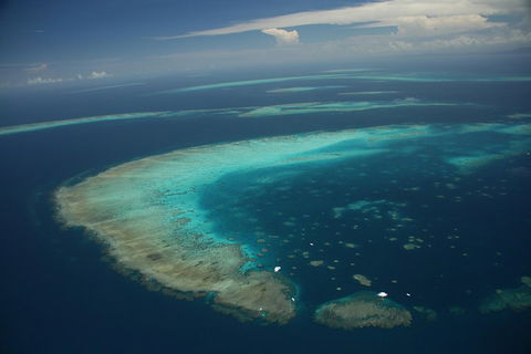 Great Barrier Reef Day Cruise From Cairns Including Snorkeling And Marine Biologist Presentation - Accommodation Gladstone 1