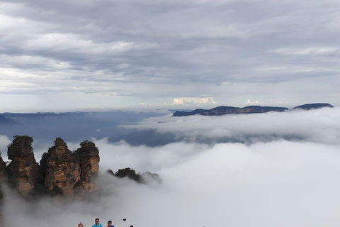 Small-Group Blue Mountains Tour With A Local Guide - Accommodation Gladstone 1