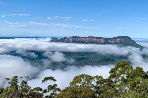 Small-Group Blue Mountains Tour With A Local Guide - Accommodation Gladstone 4