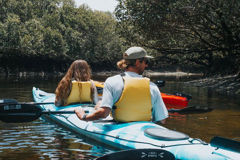 Kayak Tour In Adelaide Dolphin Sanctuary - Accommodation Gladstone 2