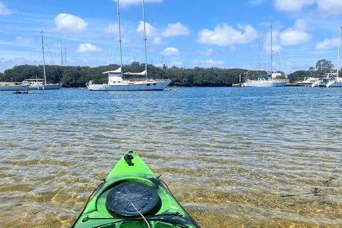 Kayak Tour In Adelaide Dolphin Sanctuary - Accommodation Gladstone 4