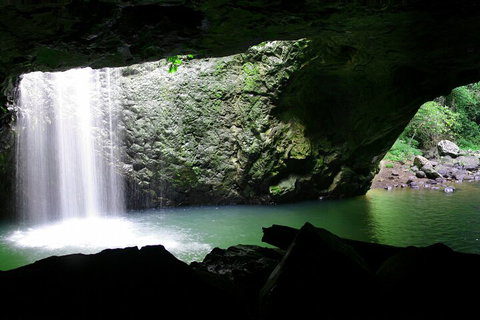 Natural Bridge & Springbrook Waterfalls Tour + Hot Air Balloon With Breakfast - Accommodation Gladstone 2