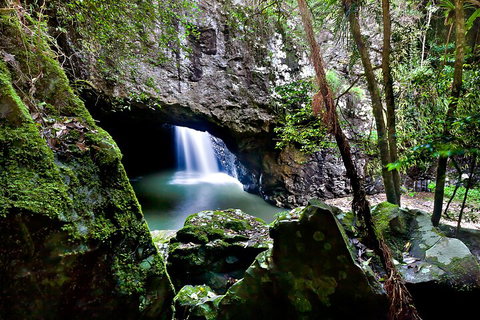 Natural Bridge & Springbrook Waterfalls Tour + Hot Air Balloon With Breakfast - Accommodation Gladstone 4