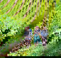 Tasmanian Wine Tour - Accommodation Gladstone
