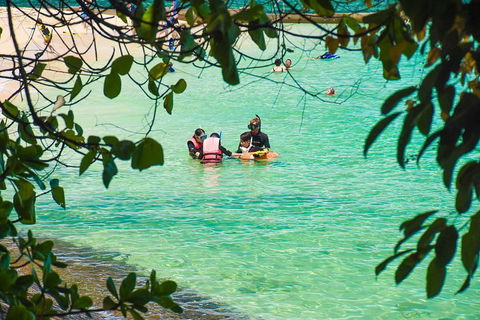 Green Island Day Trip From Cairns - Accommodation Gladstone 2