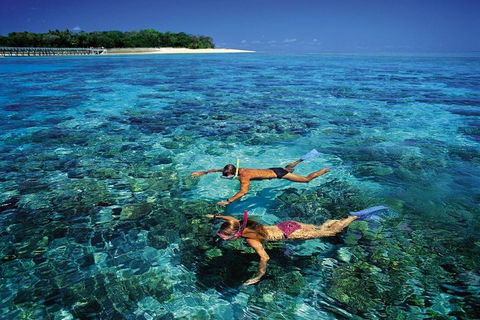 Green Island Day Trip From Cairns - Accommodation Gladstone 5