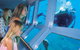 Quicksilver Outer Great Barrier Reef Snorkel Cruise From Palm Cove - thumb 0