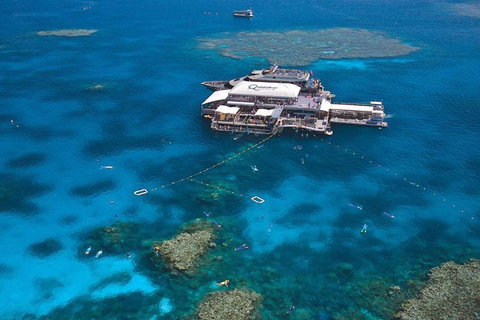 Quicksilver Outer Great Barrier Reef Snorkel Cruise From Palm Cove - Accommodation Gladstone 1