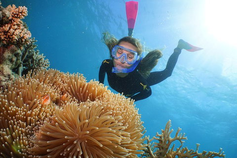 Quicksilver Outer Great Barrier Reef Snorkel Cruise From Palm Cove - Accommodation Gladstone 2