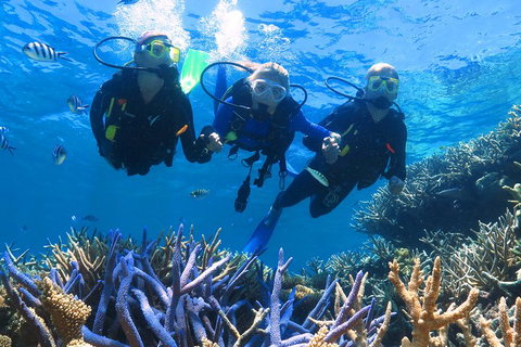 Quicksilver Outer Great Barrier Reef Snorkel Cruise From Palm Cove - Accommodation Gladstone 3