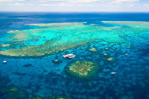 Quicksilver Outer Great Barrier Reef Snorkel Cruise From Palm Cove - Accommodation Gladstone 4
