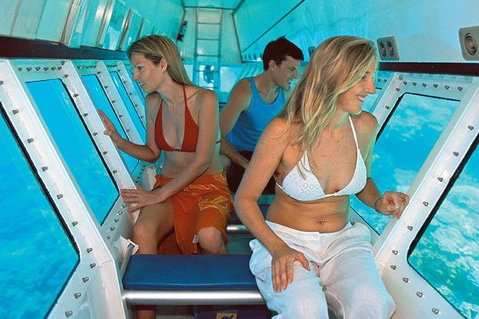 Quicksilver Outer Great Barrier Reef Snorkel Cruise From Palm Cove - Accommodation Gladstone 5