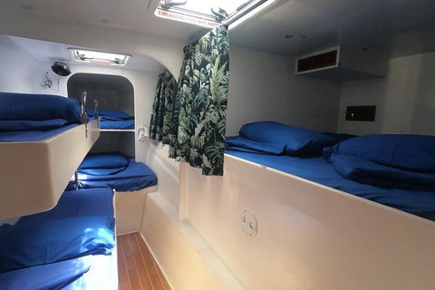 Sail, Snorkel, SUP & Kayak Charter Whitsundays - Accommodation Gladstone 4