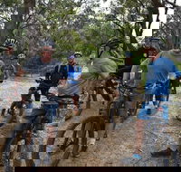 Fully guided E-Mountain Bike Tour on the beautiful Mornington Peninsula. - Accommodation Gladstone