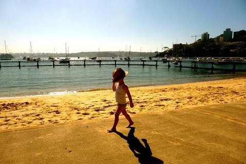 Morning Or Afternoon Highlights Tour In Sydney With A Local Guide - Accommodation Gladstone 3