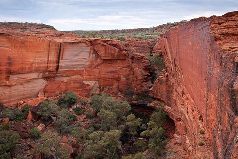 Uluru, Kata Tjuta And Kings Canyon Camping Safari From Ayers Rock - Accommodation Gladstone 1