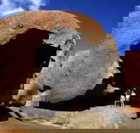 Full-Day Kangaroo Island Safari from Penneshaw - Accommodation Gladstone