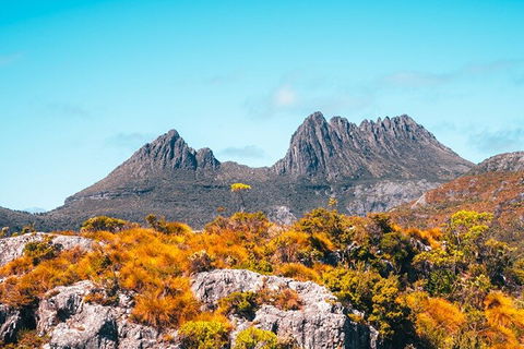 Cradle Mountain National Park Day Tour From Launceston - Accommodation Gladstone 1