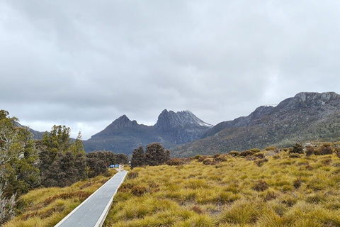 Cradle Mountain National Park Day Tour From Launceston - Accommodation Gladstone 2