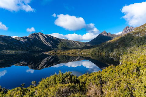 Cradle Mountain National Park Day Tour From Launceston - Accommodation Gladstone 3