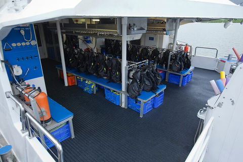 Silverswift Outer Great Barrier Reef Dive And Snorkel Cruise From Cairns - Accommodation Gladstone 0