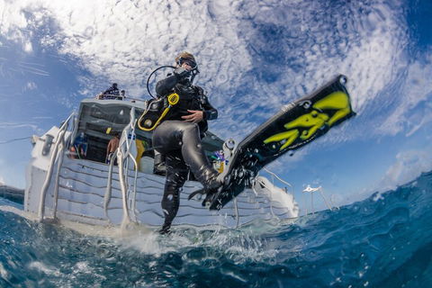 Silverswift Outer Great Barrier Reef Dive And Snorkel Cruise From Cairns - Accommodation Gladstone 1