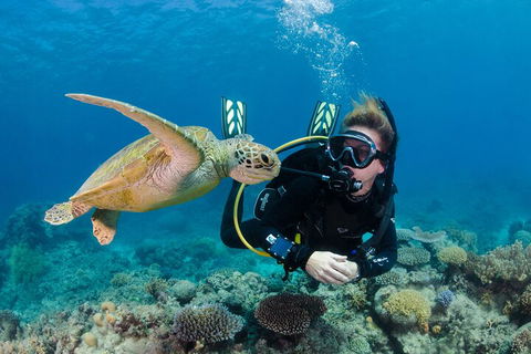 Silverswift Outer Great Barrier Reef Dive And Snorkel Cruise From Cairns - Accommodation Gladstone 2