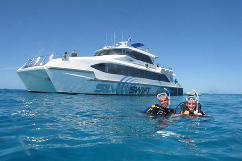 Silverswift Outer Great Barrier Reef Dive And Snorkel Cruise From Cairns - Accommodation Gladstone 4