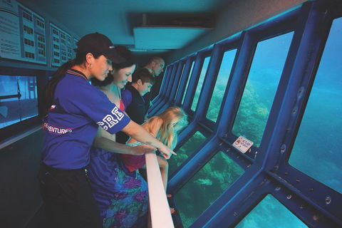 Great Barrier Reef Adventure From Cairns - Accommodation Gladstone 0