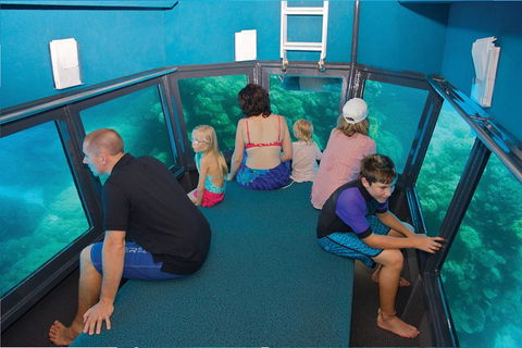 Great Barrier Reef Adventure From Cairns - Accommodation Gladstone 1