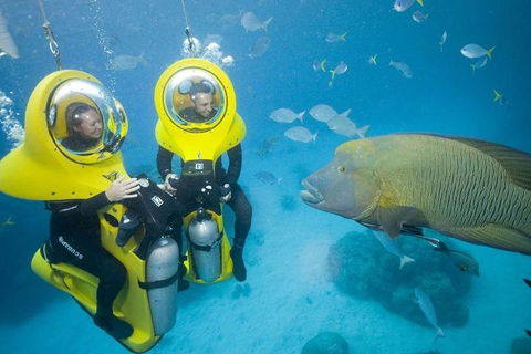 Great Barrier Reef Adventure From Cairns - Accommodation Gladstone 2