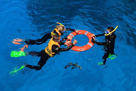 Great Barrier Reef Adventure From Cairns - Accommodation Gladstone 3
