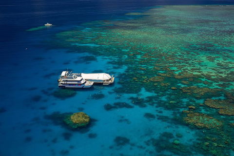 Great Barrier Reef Adventure From Cairns - Accommodation Gladstone 4