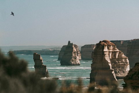 Half-Day Or Full-Day Tour With Private Guide From Melbourne - Accommodation Gladstone 0