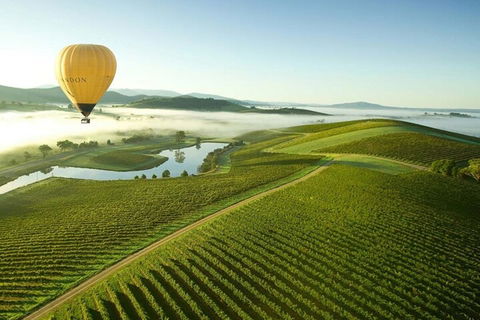 Half-Day Or Full-Day Tour With Private Guide From Melbourne - Accommodation Gladstone 4