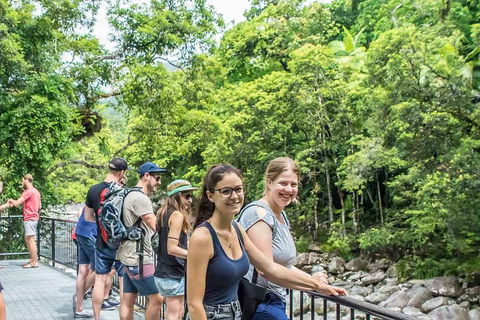 Cape Tribulation, Mossman Gorge, And Daintree Rainforest Day Trip From Cairns Or Port Douglas - Accommodation Gladstone 0