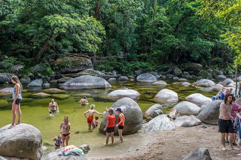 Cape Tribulation, Mossman Gorge, And Daintree Rainforest Day Trip From Cairns Or Port Douglas - Accommodation Gladstone 1