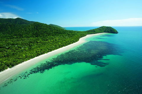 Cape Tribulation, Mossman Gorge, And Daintree Rainforest Day Trip From Cairns Or Port Douglas - Accommodation Gladstone 2