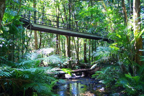 Cape Tribulation, Mossman Gorge, And Daintree Rainforest Day Trip From Cairns Or Port Douglas - Accommodation Gladstone 3