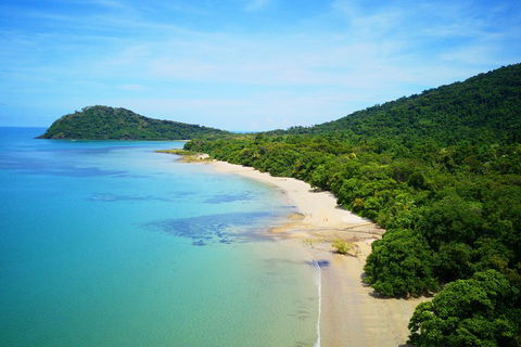 Cape Tribulation, Mossman Gorge, And Daintree Rainforest Day Trip From Cairns Or Port Douglas - Accommodation Gladstone 5