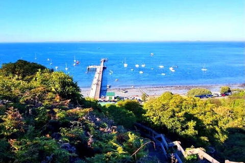 Mornington Peninsula Sightseeing Tour For 2-6 Guests. - Accommodation Gladstone 1