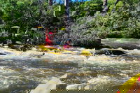 Book Viator Accommodation Vacations Accommodation Gladstone Accommodation Gladstone