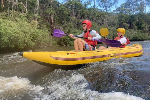 Yarra River Half-Day Rafting Experience - Accommodation Gladstone 1