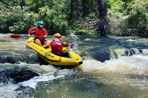 Yarra River Half-Day Rafting Experience - Accommodation Gladstone 4