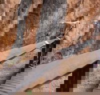 Chillagoe Caves and Outback Day Trip from Cairns - Accommodation Gladstone