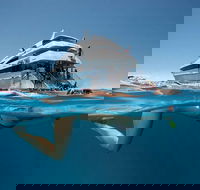 3 Day Great Barrier Reef Daintree Rainforest and Outback Chillagoe Tour - Accommodation Gladstone